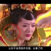 一肖一码2023年开奖结果查询